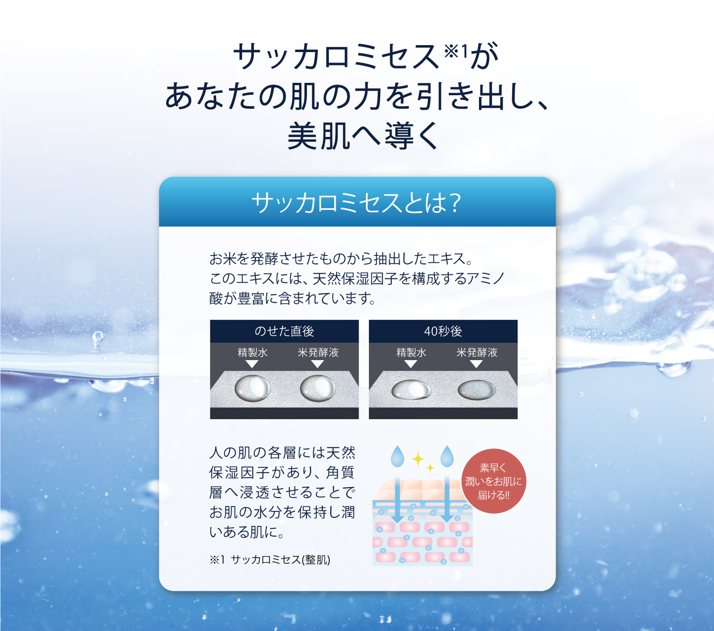 サッカロミセスがあなたの肌の力を引き出し、美肌へ導く